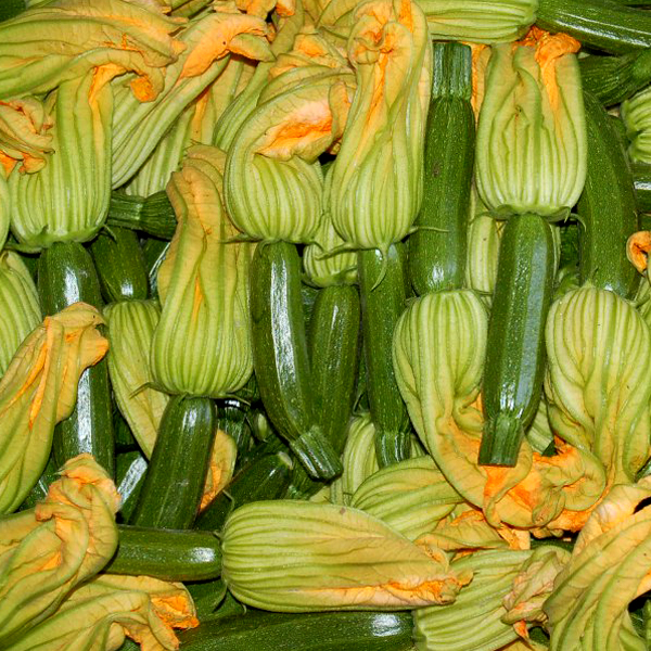 zucchine1